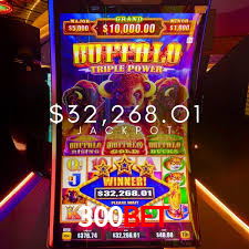 300bet: A Experiência de Casino com Jogos de Mesa ao Vivo